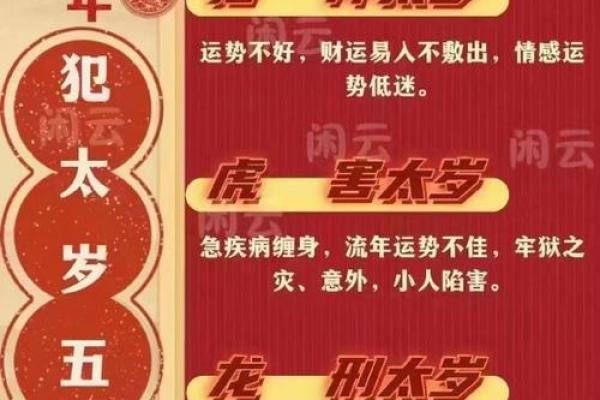 走马观花一九数是什么生肖 走马观花一九数是什么生肖