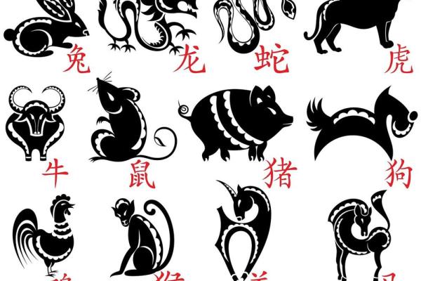 黑灯瞎火指什么生肖 黑灯瞎火指什么生肖