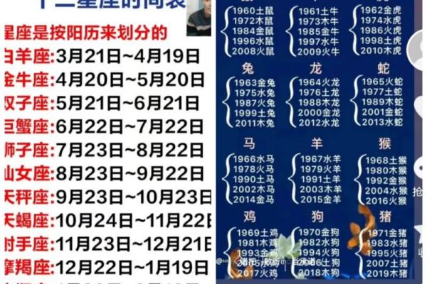 皓月千里指什么生肖 皓月千里指什么生肖