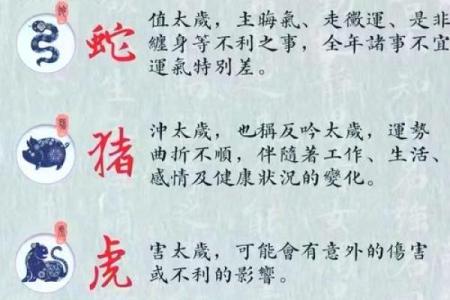 新坟动土有什么讲究(新坟不小心动土了怎么办)