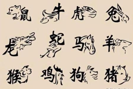 刻鹄不成指什么生肖(刻鹄不成指什么生肖最准确)