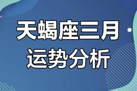 2025年天蝎星座运势 2025年天蝎座运势解析事业爱情双丰收