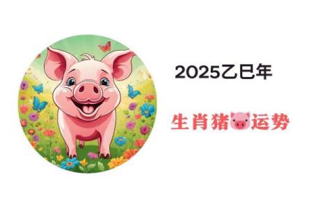 属猪今年多少岁2025_属猪今年多少岁2025年出生