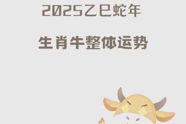 79岁属猪人2025年运势详解健康财运感情全解析 79岁属猪人2025年运势详解健康财运感情全解析