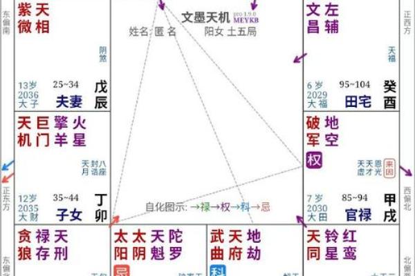 福德宫紫微贪狼星 福德宫紫微贪狼星解析命理运势与人生指引 福德宫紫微贪狼星 福德宫紫微贪狼星解析命理运势与人生指引