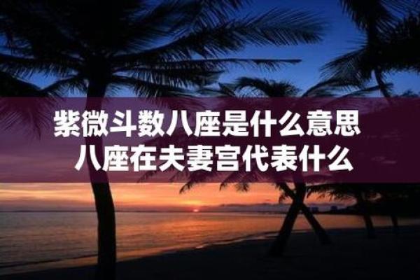 夫妻宫三台八座 夫妻宫三台八座解析婚姻运势与命理奥秘 夫妻宫三台八座 夫妻宫三台八座解析婚姻运势与命理奥秘