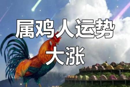 属鸡今曰财运 属鸡今日财运