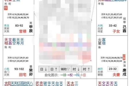 丁年生人巨门化忌奇格解析与命运影响