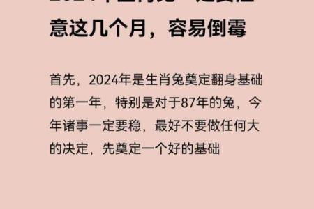 2025年属兔运势详解财运事业感情全面解析_1739580510