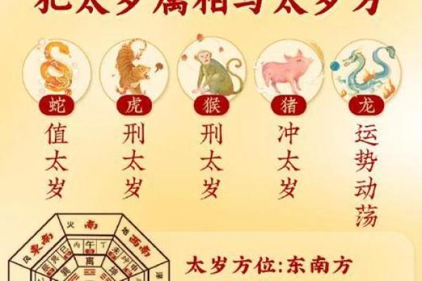 火眼金睛打一准确生肖 火眼金睛打一准确生肖
