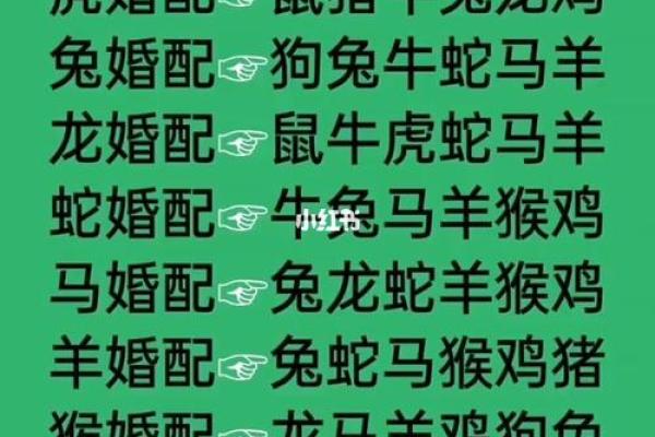 绝代佳人代表什么生肖 绝代佳人代表什么生肖