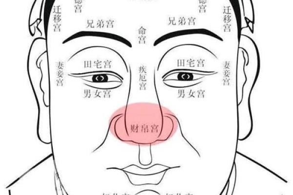 财帛宫化禄入兄弟宫_财帛宫化禄入兄弟宫财富与亲情的神秘联系解析 财帛宫化禄入兄弟宫_财帛宫化禄入兄弟宫财富与亲情的神秘联系解析