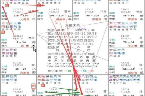 飞星紫微斗数全书_紫微斗数飞星详解 飞星紫微斗数全书_紫微斗数飞星详解