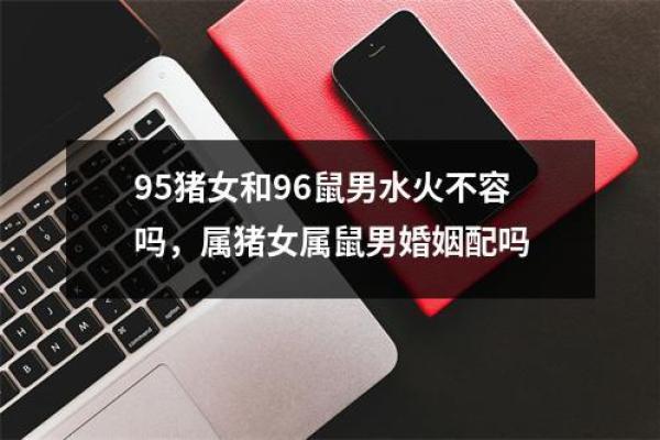 鼠和猪2025年几月适合结婚 鼠和猪2025年几月适合结婚