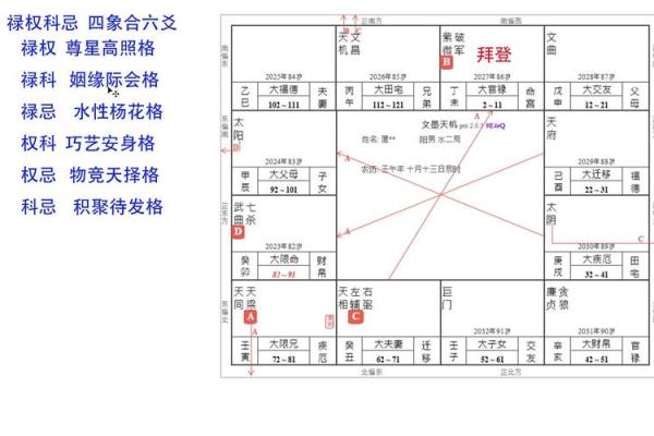 蔡明宏紫微斗数解析精准预测与人生指南 蔡明宏紫微斗数解析精准预测与人生指南