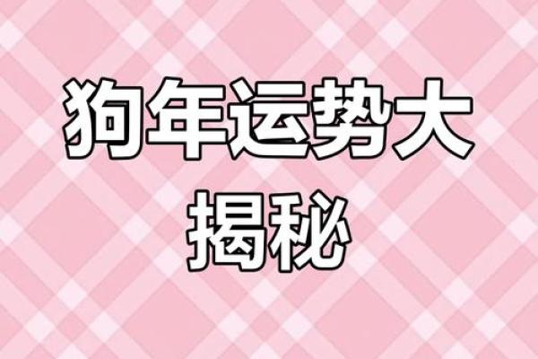 2025属狗的运势_2025年属狗运势详解财运事业爱情全解析 2025属狗的运势_2025年属狗运势详解财运事业爱情全解析