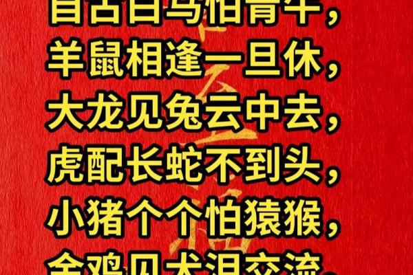 同甘共苦打一个生肖 同甘共苦打一个生肖