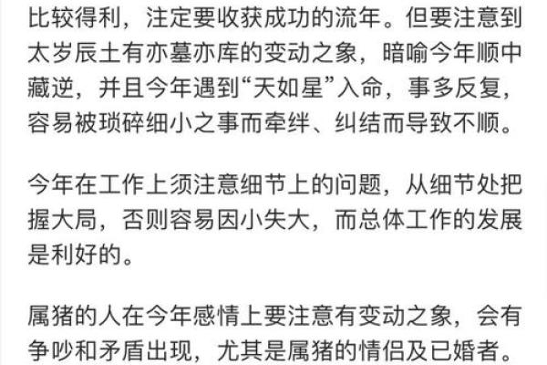 2007年属猪2025年运势详解财运事业感情全解析 2007年属猪2025年运势详解财运事业感情全解析