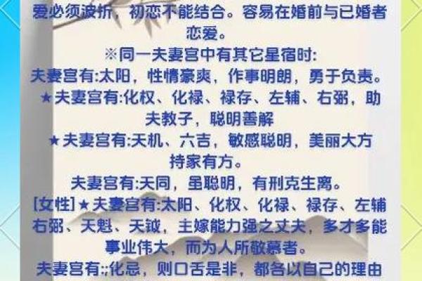夫妻宫文曲旺什么意思_夫妻宫主星文曲 夫妻宫文曲旺什么意思_夫妻宫主星文曲