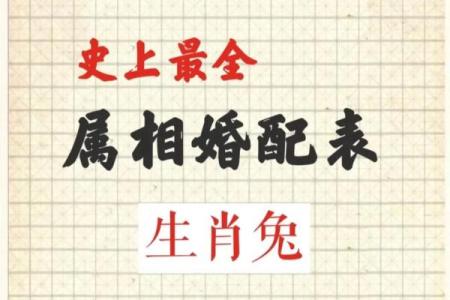 63年兔是什么命 五行属什么 63年兔是什么命 五行属什么床头应放那