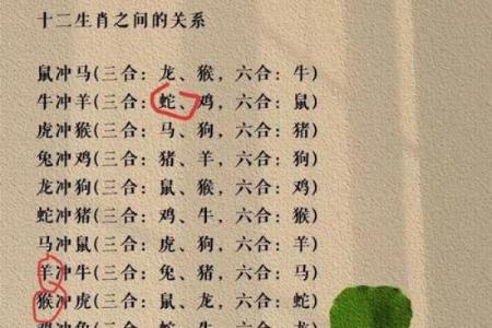 开口恶毒不留情是什么生肖(开口恶毒不留情什么生肖数字)