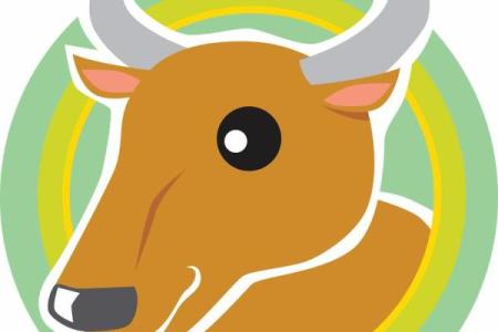 1994年属狗几月命苦_1994年属狗几月命苦揭秘命运转折的关键月份