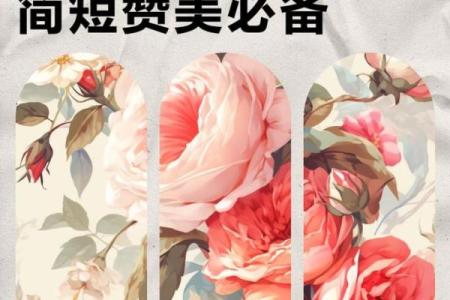 新房装修选什么日子