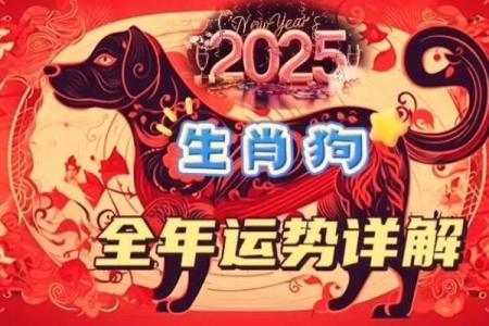 2025年属狗运势详解事业财运爱情全解析