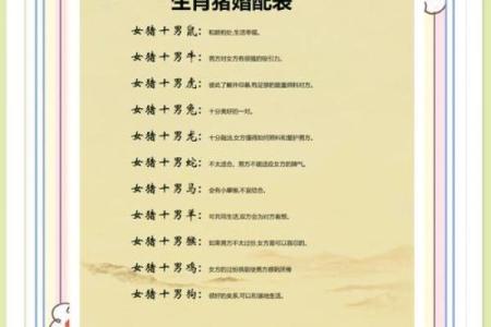 猪和鼠明年能结婚吗