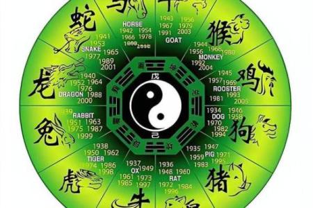 天下归一是什么生肖(天下归一打一肖)