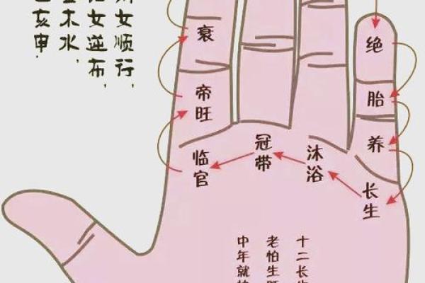 夫妻宫天月解析婚姻运势与命理奥秘 夫妻宫天月解析婚姻运势与命理奥秘