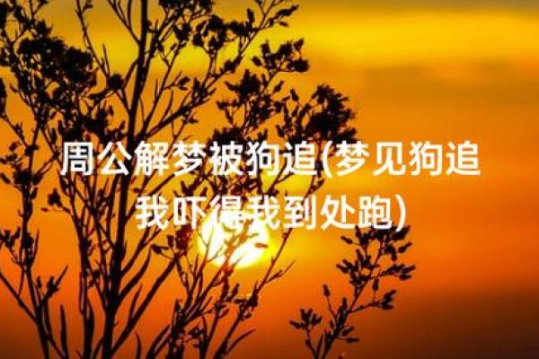 梦到狗是什么征兆 女性 梦到狗是什么征兆 女性