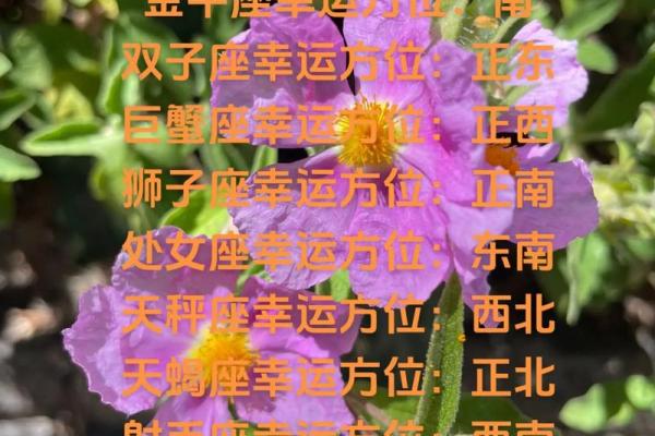 白羊座今日运势_第一星座网 白羊座今日运势_第一星座网