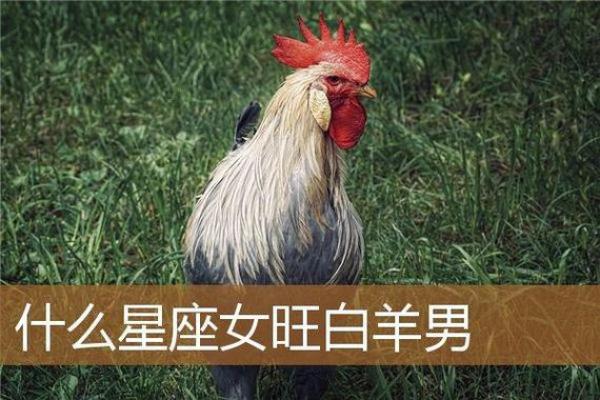 69年属鸡白羊座女(1969年属鸡白羊座女的婚姻) 69年属鸡白羊座女(1969年属鸡白羊座女的婚姻)