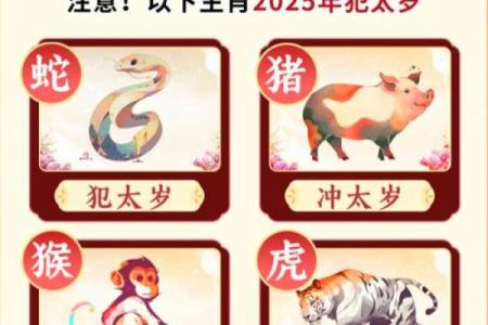 面目全非是什么生肖(面目全非是指什么生肖)