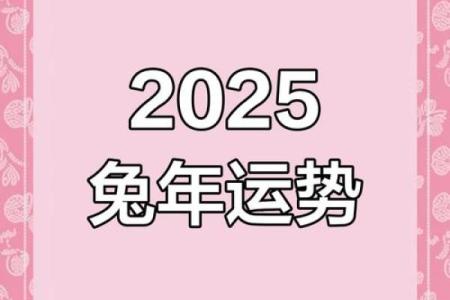 属兔2025 属兔2025年的婚姻怎么样呢