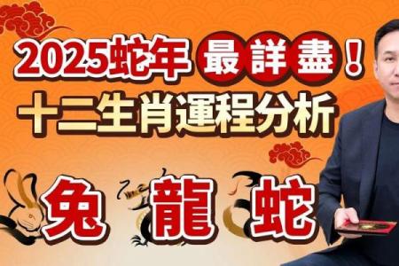 大智大勇是什么生肖(大智大勇是什么生肖刚刚揭秘落实)