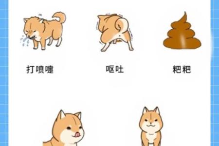 梦见小狗是什么征兆