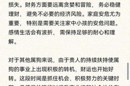 2025年属狗运程_2025年属狗运程完整版