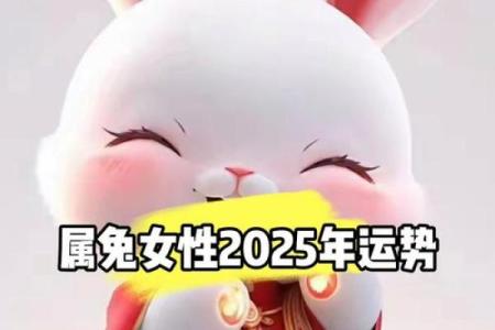2025年属兔运程_2025年属兔运程详解运势大揭秘与全年运势预测