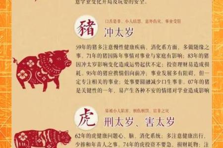 属龙蛇年运势2025年运程 2025乙巳年属龙人全年运程正月到腊月运势大解析