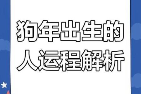 属狗2025多大_属狗2025年运势及运程每月运程狗