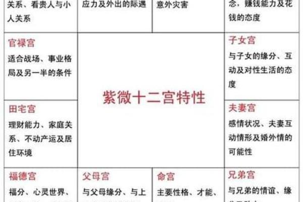 地劫在子女宫代表什么 地劫在子女宫的含义解析影响与应对策略 地劫在子女宫代表什么 地劫在子女宫的含义解析影响与应对策略