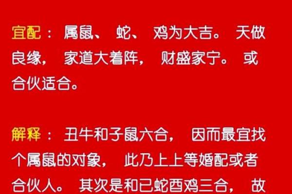 属龙人2021年结婚合适吗 属龙人2021年结婚合适吗