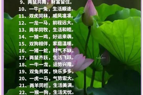 花开回春又一年是什么生肖 花开回春又一年是什么生肖