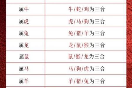 一日千里是什么生肖(一日千里是什么生肖正确答案)