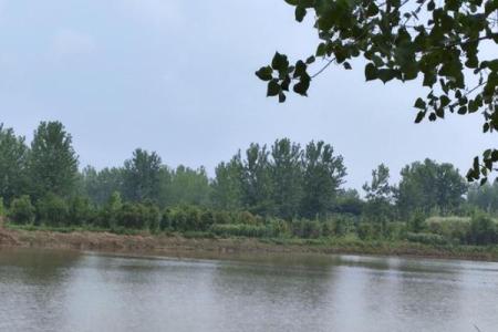 川流不息打一个生肖(川流不息打一个生肖动物)