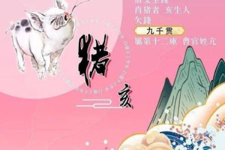 属猪人2026年全年运势及运程_95年属猪人2026年全年运势及运程