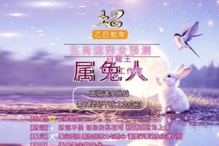 1975属兔女2025年每月运势详解及运程预测