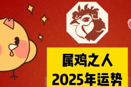 九三年属鸡女2025年运势如何 九三年属鸡女2020年运势
